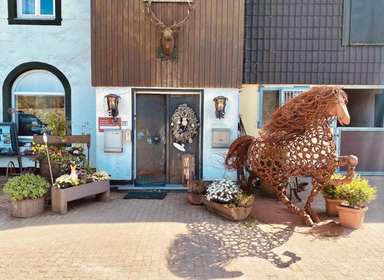 Hof Vierzehnender Im Hohen Venn - 70Qm Maisonette - 2 Schlafzimmer - Wohnkueche - Balkon Mit Grill - Monschau - Eifel - Hunde Willkommen - Islandpferde Εξωτερικό φωτογραφία