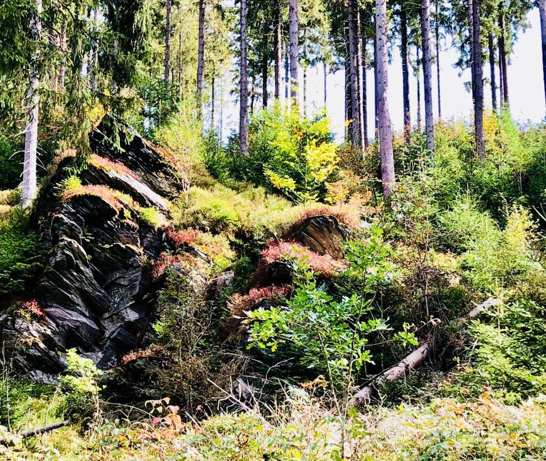 Hof Vierzehnender Im Hohen Venn - 70Qm Maisonette - 2 Schlafzimmer - Wohnkueche - Balkon Mit Grill - Monschau - Eifel - Hunde Willkommen - Islandpferde Εξωτερικό φωτογραφία