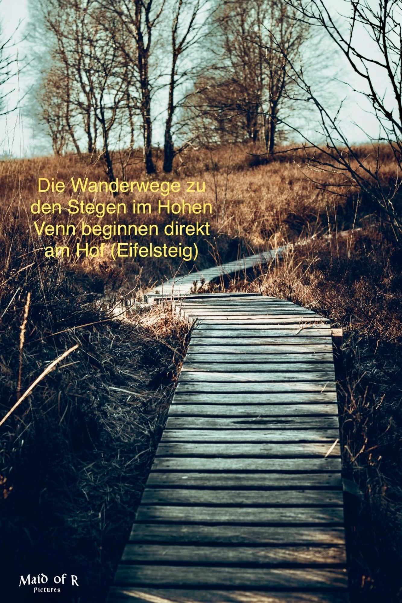 Hof Vierzehnender Im Hohen Venn - 70Qm Maisonette - 2 Schlafzimmer - Wohnkueche - Balkon Mit Grill - Monschau - Eifel - Hunde Willkommen - Islandpferde Εξωτερικό φωτογραφία