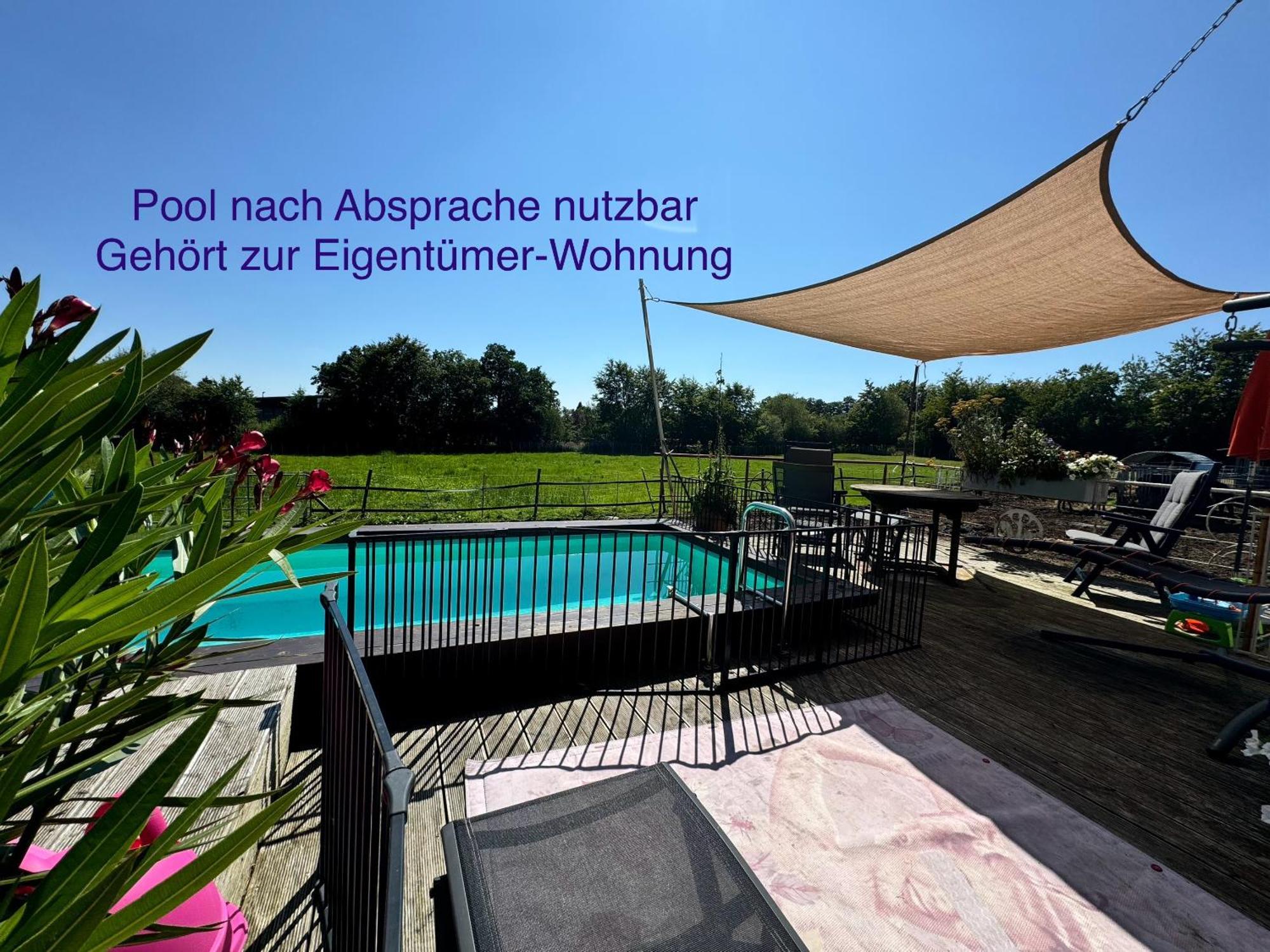 Hof Vierzehnender Im Hohen Venn - 70Qm Maisonette - 2 Schlafzimmer - Wohnkueche - Balkon Mit Grill - Monschau - Eifel - Hunde Willkommen - Islandpferde Εξωτερικό φωτογραφία