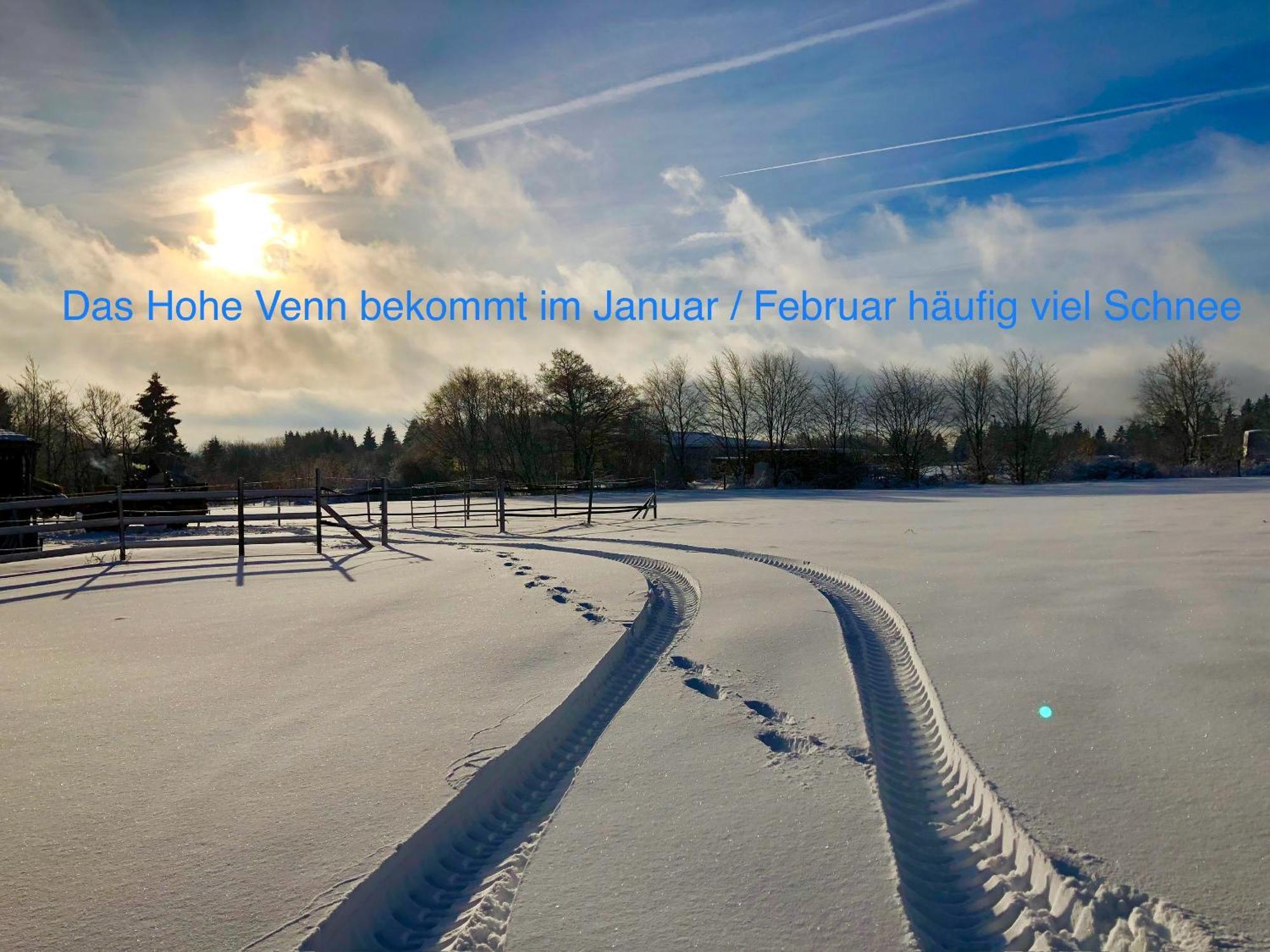 Hof Vierzehnender Im Hohen Venn - 70Qm Maisonette - 2 Schlafzimmer - Wohnkueche - Balkon Mit Grill - Monschau - Eifel - Hunde Willkommen - Islandpferde Εξωτερικό φωτογραφία